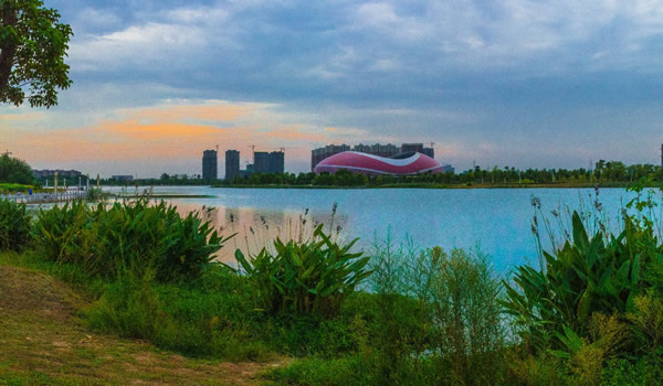 �������Y