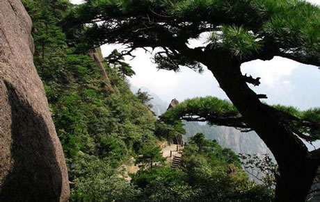 �������Y