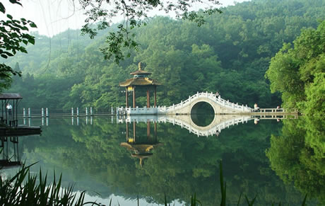 �������Y