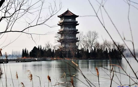 �������Y