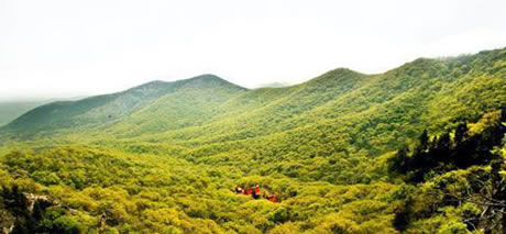 �������Y