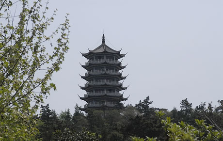 �������Y