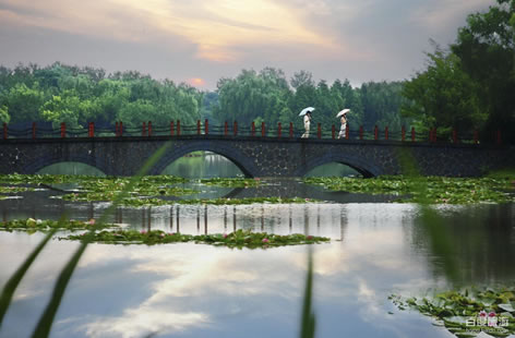 �������Y