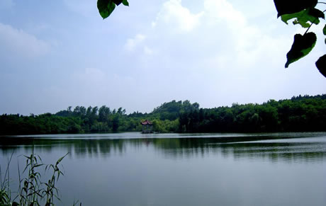 �������Y