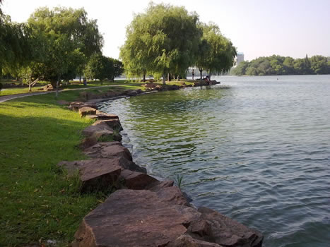 �������Y