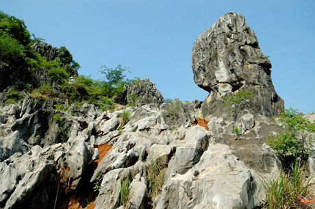 �������Y