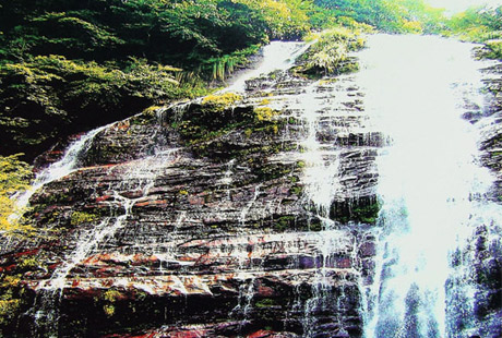 �������Y