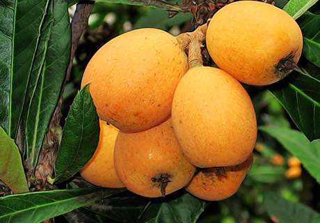 �������Y