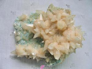 �������Y