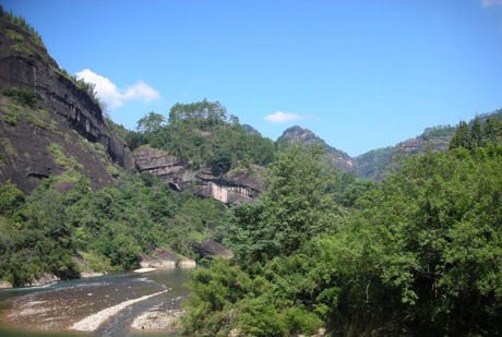 �������Y