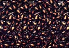 �������Y