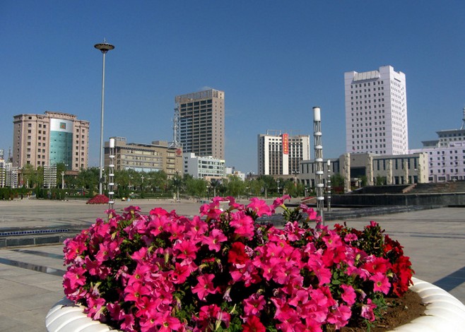 �������Y