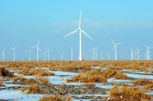 �������Y