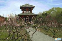 �������Y