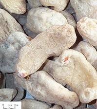 �������Y