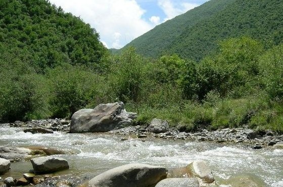 �������Y