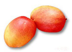 �������Y