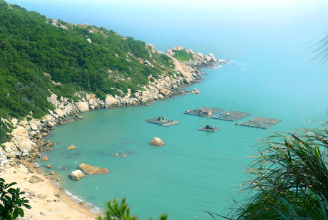 �������Y