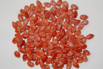 �������Y