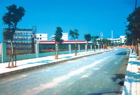 �������Y