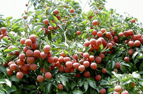 �������Y