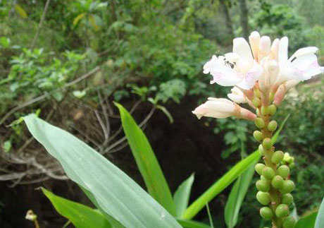 �������Y