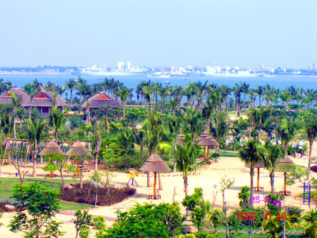 �������Y