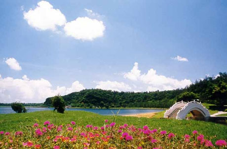 �������Y