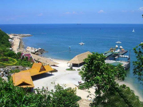 �������Y