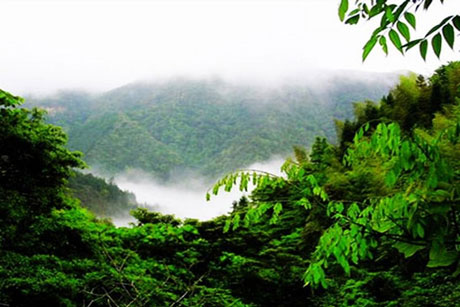 �������Y