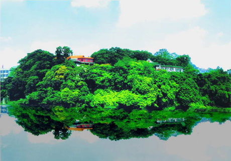 �������Y