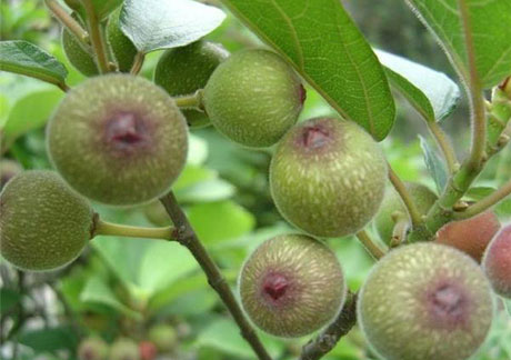 �������Y