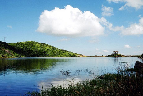 �������Y