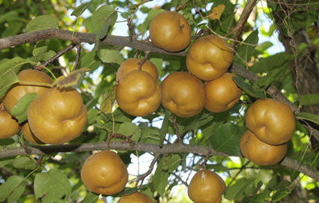 �������Y