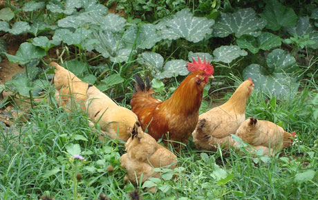 �������Y