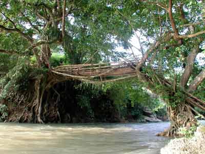 �������Y