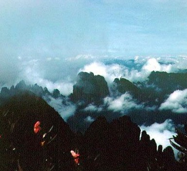 �������Y