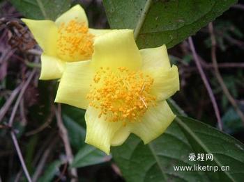 �������Y