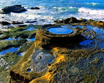 �������Y