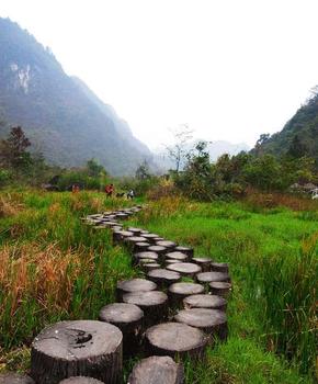 �������Y