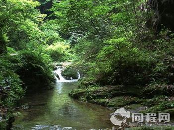 �������Y