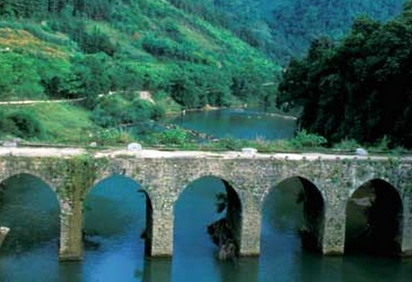 �������Y