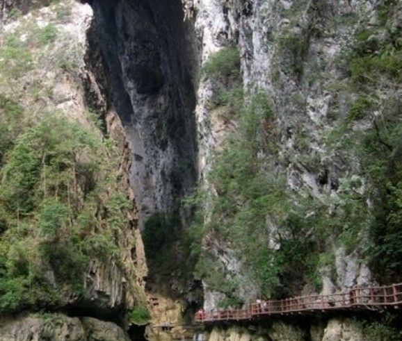 �������Y