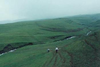 �������Y