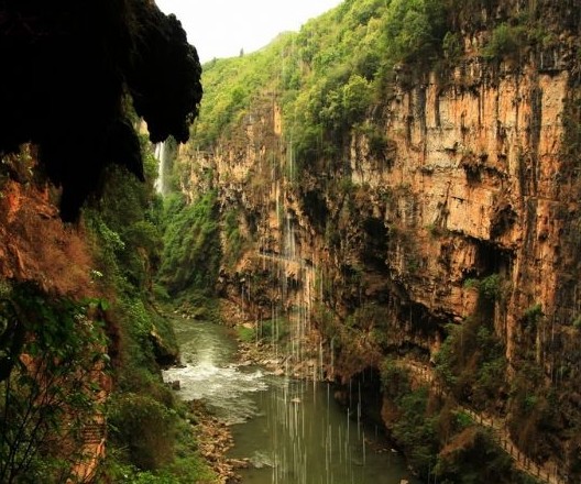 �������Y