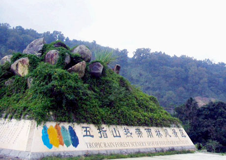 �������Y