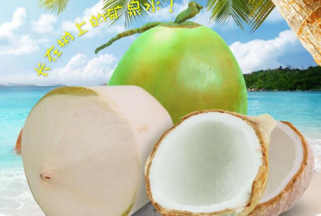 �������Y