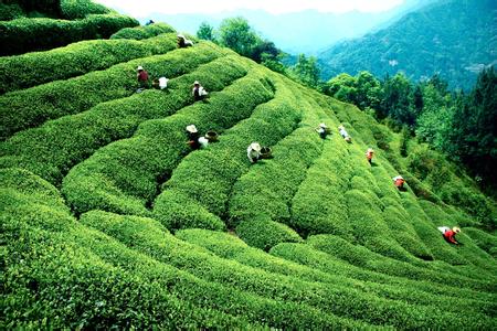 �������Y