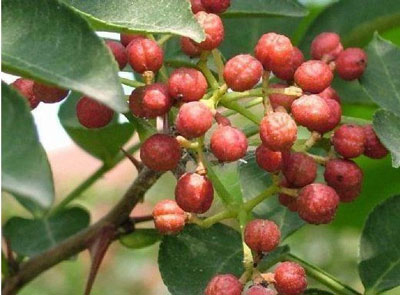 �������Y