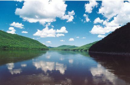 �������Y